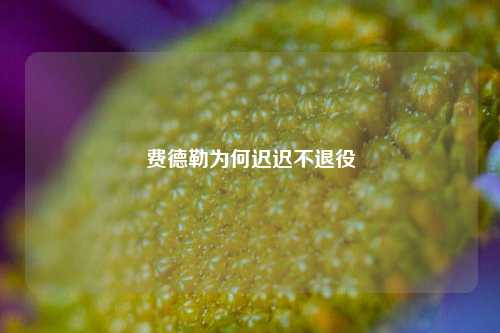 费德勒为何迟迟不退役