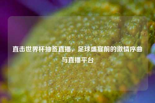直击世界杯抽签直播,足球盛宴前的***序曲与直播平台