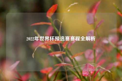 2022年世界杯预选赛赛程全解析