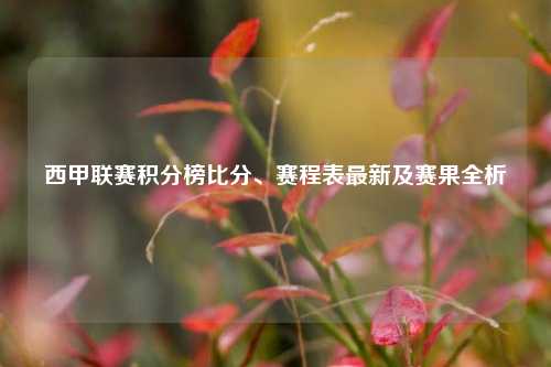 西甲联赛积分榜比分、赛程表最新及赛果全析