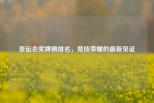亚运会奖牌榜排名,竞技荣耀的最新见证