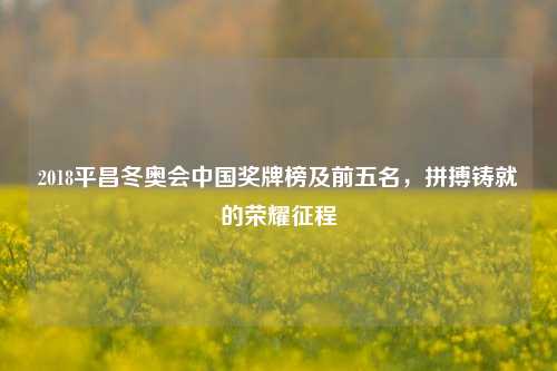 2018平昌冬奥会中国奖牌榜及前五名,拼搏铸就的荣耀征程
