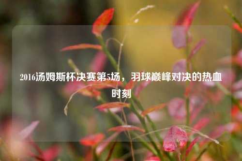 2016汤姆斯杯决赛第5场,羽球巅峰对决的热血时刻