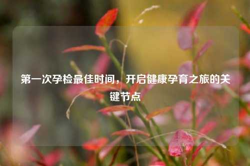 之一次孕检更佳时间,开启健康孕育之旅的关键节点