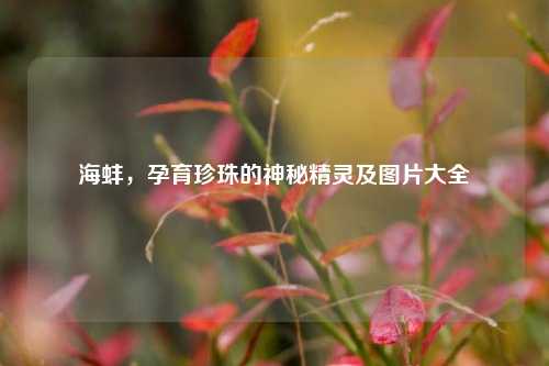 海蚌,孕育珍珠的神秘精灵及图片大全