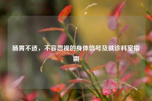 肠胃不适,不容忽视的身体信号及就诊科室指南