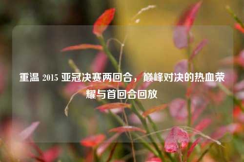 重温 2015 亚冠决赛两回合,巅峰对决的热血荣耀与首回合回放
