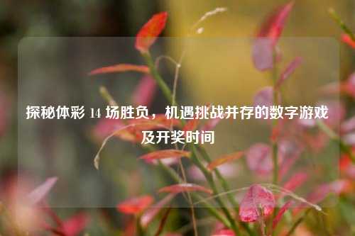 探秘体彩 14 场胜负,机遇挑战并存的数字游戏及开奖时间