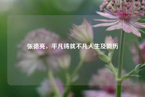 张德亮,平凡铸就不凡人生及简历