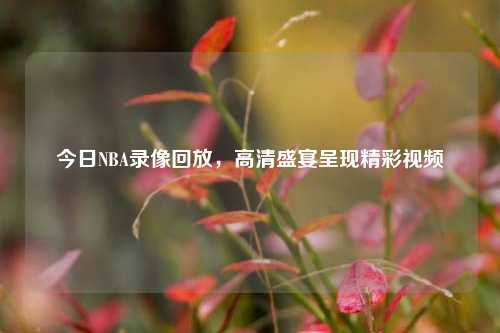 今日NBA录像回放,高清盛宴呈现精彩视频