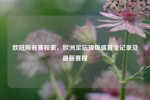 欧冠所有赛程表,欧洲足坛顶级盛宴全记录及最新赛程