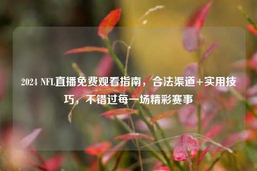 2024 NFL直播免费观看指南,合法渠道+实用技巧,不错过每一场精彩赛事