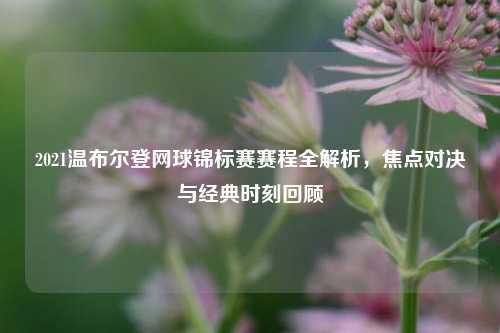 2021温布尔登网球锦标赛赛程全解析,焦点对决与经典时刻回顾