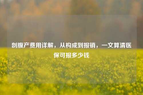 剖腹产费用详解,从构成到报销,一文算清医保可报多少钱