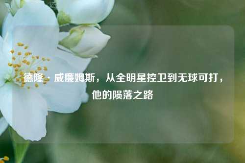 德隆·威廉姆斯,从全明星控卫到无球可打,他的陨落之路