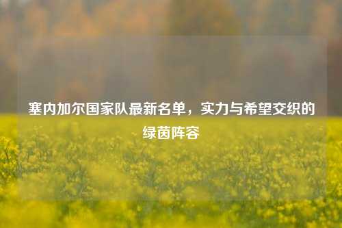 塞内加尔国家队最新名单,实力与希望交织的绿茵阵容