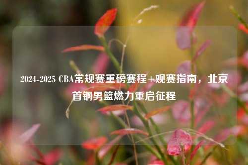 2024-2025 CBA常规赛重磅赛程+观赛指南,北京首钢男篮燃力重启征程