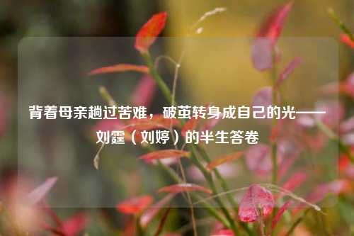 背着母亲趟过苦难,破茧转身成自己的光——刘霆(刘婷)的半生答卷