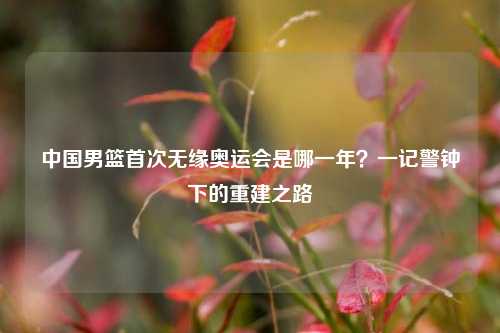 中国男篮首次无缘奥运会是哪一年?一记警钟下的重建之路