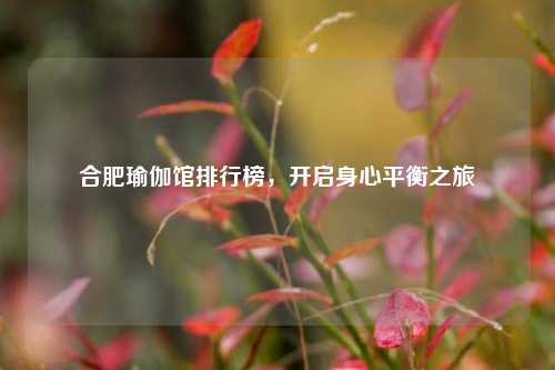 合肥瑜伽馆排行榜,开启身心平衡之旅