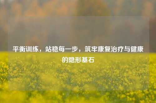 平衡训练,站稳每一步,筑牢康复治疗与健康的隐形基石