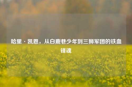 哈里·凯恩,从白鹿巷少年到三狮军团的铁血锋魂