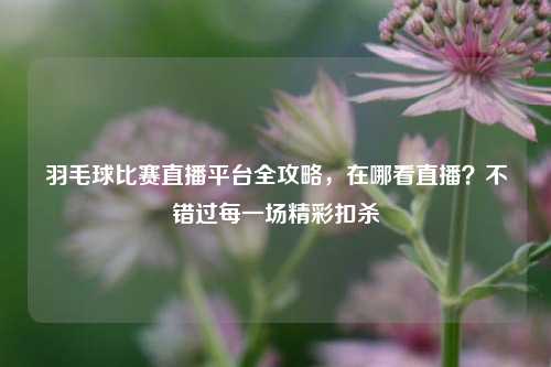 羽毛球比赛直播平台全攻略,在哪看直播?不错过每一场精彩扣杀