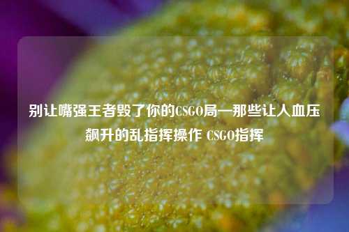 别让嘴强王者毁了你的CSGO局—那些让人血压飙升的乱指挥操作 CSGO指挥