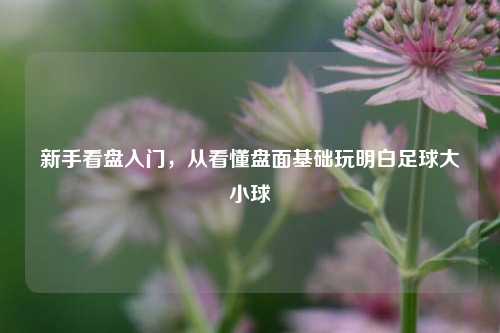新手看盘入门,从看懂盘面基础玩明白足球大小球