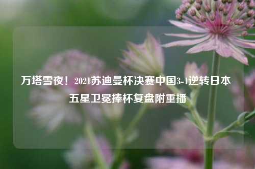 万塔雪夜!2021苏迪曼杯决赛中国3-1逆转日本 五星卫冕捧杯复盘附重播