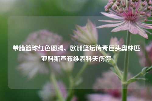 希腊篮球红色图腾、欧洲篮坛传奇巨头奥林匹亚科斯宣布维森科夫伤停