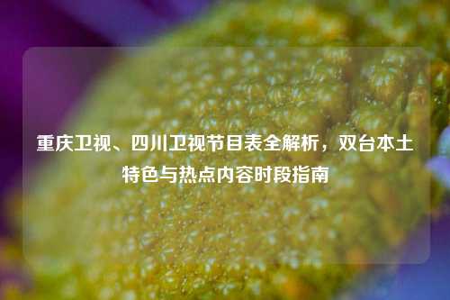 重庆卫视、四川卫视节目表全解析,双台本土特色与热点内容时段指南