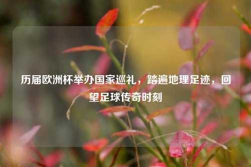历届欧洲杯举办国家巡礼,踏遍地理足迹,回望足球传奇时刻