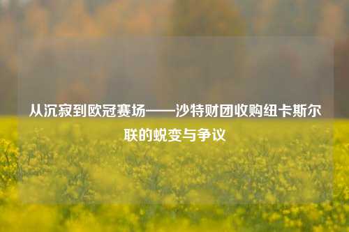 从沉寂到欧冠赛场——沙特财团收购纽卡斯尔联的蜕变与争议