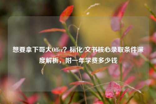 想要拿下哥大Offer?标化/文书核心录取条件深度解析,附一年学费多少钱