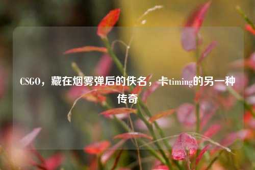 CSGO,藏在烟雾弹后的佚名,卡timing的另一种传奇