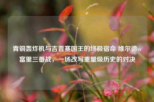 青铜轰炸机与吉普赛国王的终极宿命 维尔德vs富里三番战,一场改写重量级历史的对决