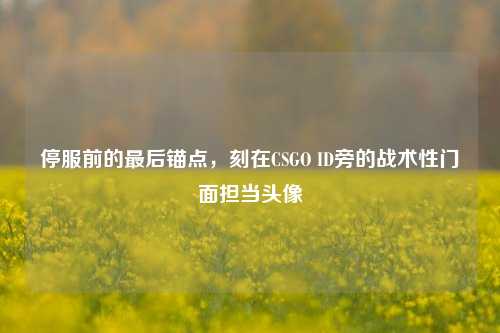 停服前的最后锚点,刻在CSGO ID旁的战术性门面担当头像
