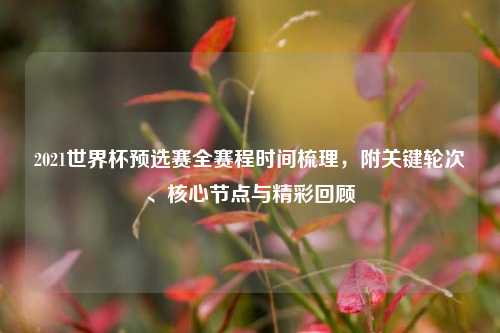 2021世界杯预选赛全赛程时间梳理,附关键轮次、核心节点与精彩回顾