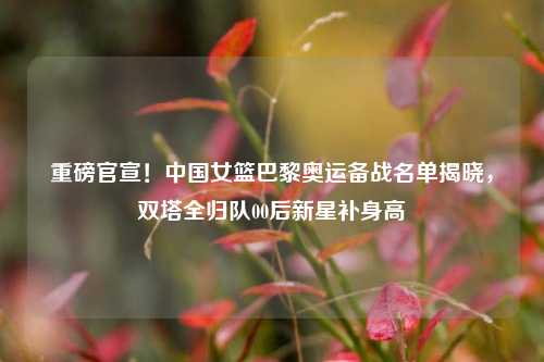 重磅官宣!中国女篮巴黎奥运备战名单揭晓,双塔全归队00后新星补身高