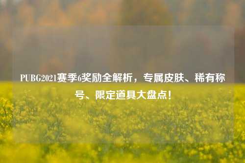 PUBG2021赛季6奖励全解析,专属皮肤、稀有称号、限定道具大盘点!