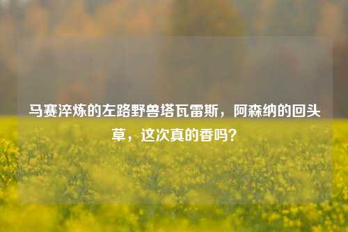 马赛淬炼的左路野兽塔瓦雷斯,阿森纳的回头草,这次真的香吗?