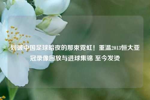 划破中国足球暗夜的那束霓虹!重温2013恒大亚冠录像回放与进球集锦 至今发烫