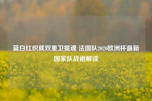 蓝白红织就双重卫冕魂 法国队2020欧洲杯最新国家队战袍解读