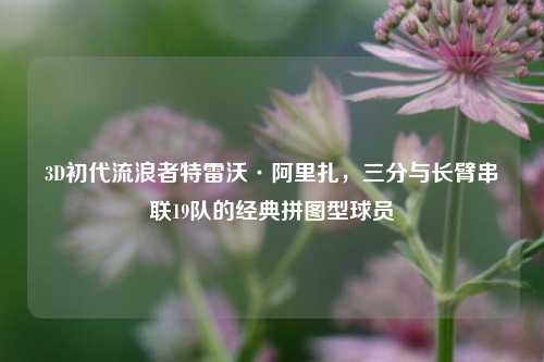 3D初代流浪者特雷沃·阿里扎,三分与长臂串联19队的经典拼图型球员