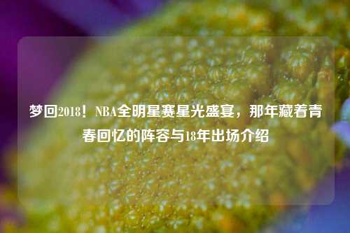 梦回2018!NBA全明星赛星光盛宴,那年藏着青春回忆的阵容与18年出场介绍