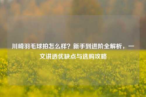 川崎羽毛球拍怎么样?新手到进阶全解析,一文讲透优缺点与选购攻略