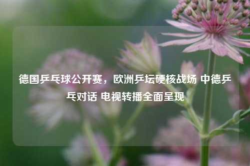 德国乒乓球公开赛,欧洲乒坛硬核战场 中德乒乓对话 电视转播全面呈现