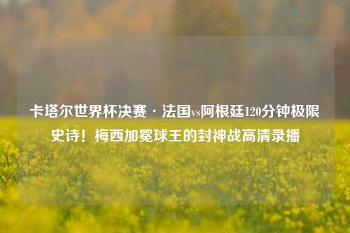 卡塔尔世界杯决赛·法国vs阿根廷120分钟极限史诗!梅西加冕球王的封神战高清录播