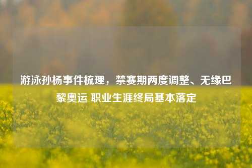 游泳孙杨事件梳理,禁赛期两度调整、无缘巴黎奥运 职业生涯终局基本落定